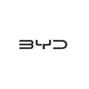 BYD Car Mats